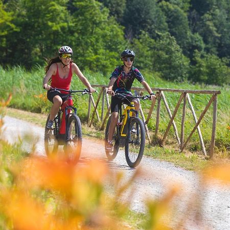 I Laghee Casette Breva E Tivano -Garden-Parking-Lake View - Bike Friendly Holiday House Colico Dış mekan fotoğraf