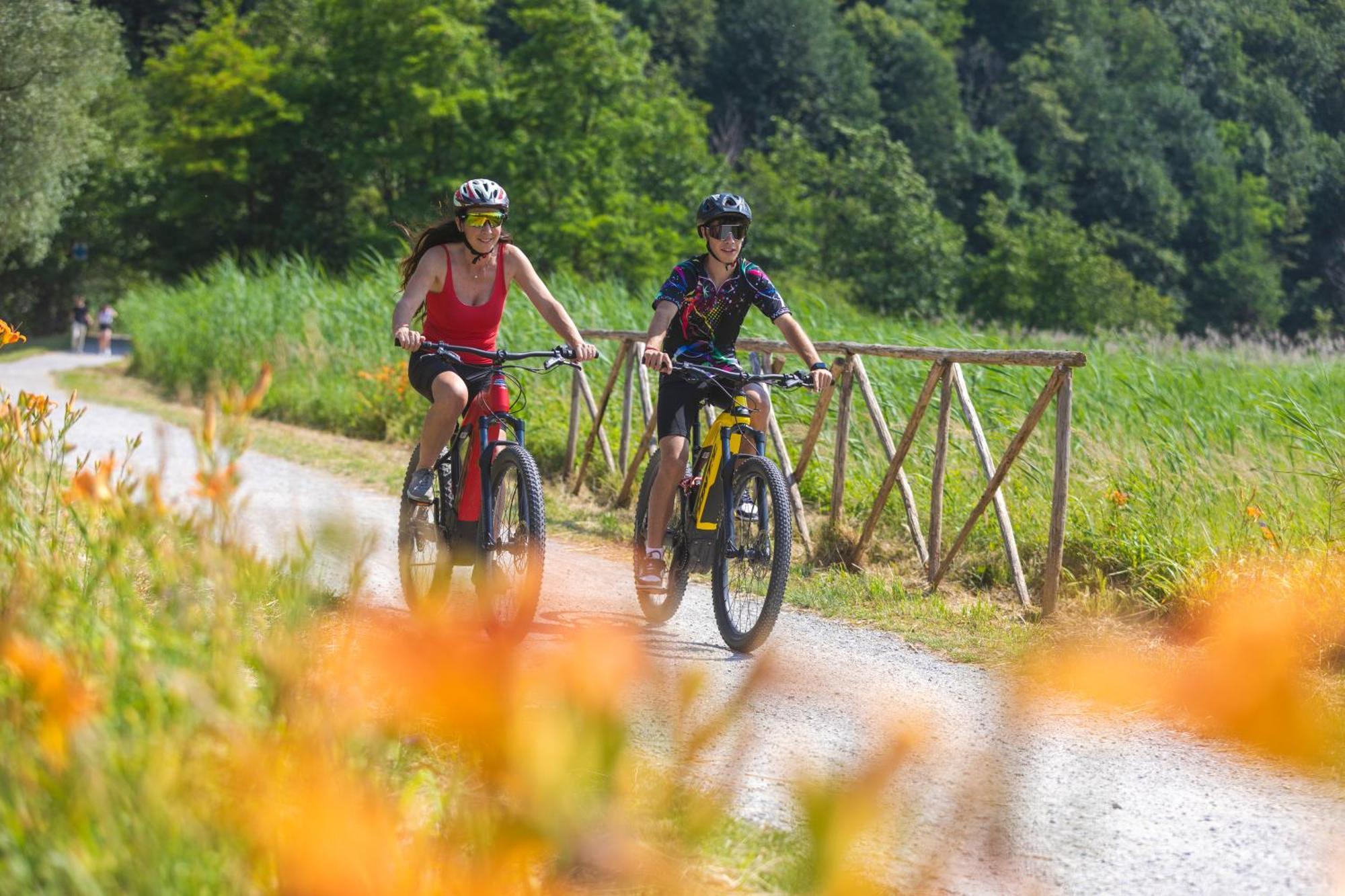 I Laghee Casette Breva E Tivano -Garden-Parking-Lake View - Bike Friendly Holiday House Colico Dış mekan fotoğraf